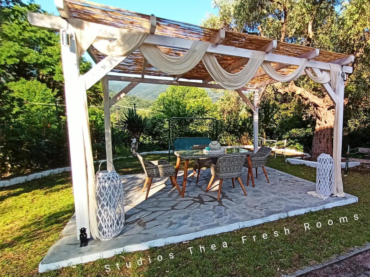Studios Thea Fresh Rooms Thassos Exterior foto