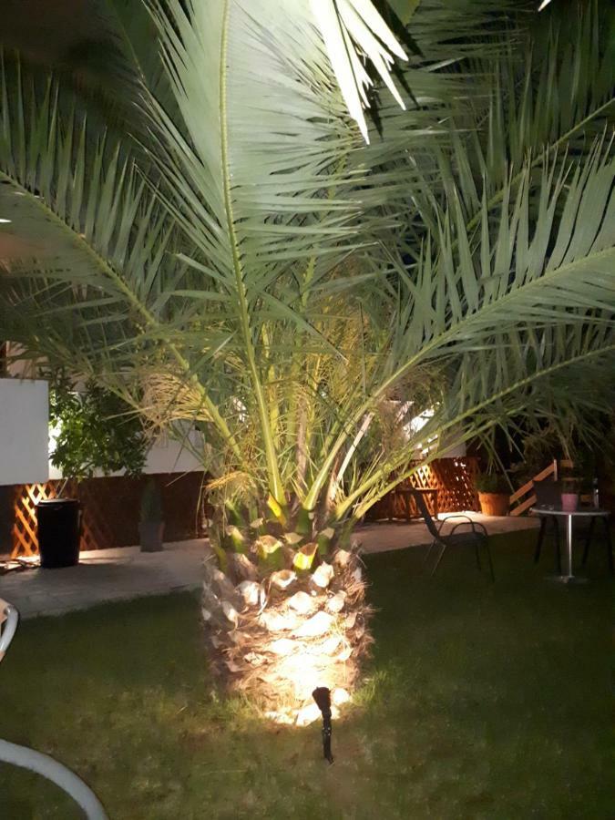 Studios Thea Fresh Rooms Thassos Exterior foto